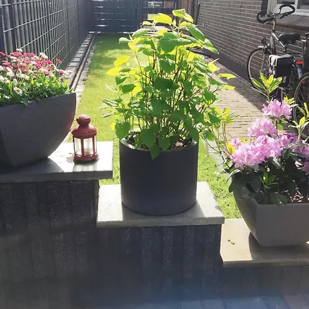 Appartement Eg Einzel-apartment - 24h Check In *