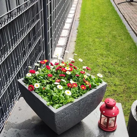 Eg Einzel-apartment - 24h Check In Appartamento *